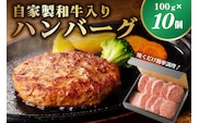 自家製和牛入りハンバーグ 100ｇ×10個 ns004-033