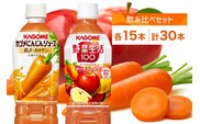 カゴメ 高β-カロテン にんじんジュース 野菜生活100 アップルサラダ 720ml PET 2種 各15本 計30本 野菜ジュース 野菜 果実 ジュース にんじん ミックスジュース フルーツジュース 果物 飲料 お取り寄せ ギフト ペットボトル KAGOME 送料無料 那須塩原市 ns039-003
