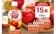 カゴメ　野菜生活100　アップルサラダ　720mlPET×15本【 飲料 野菜ジュース 栃木県 那須塩原市 】 ns001-028