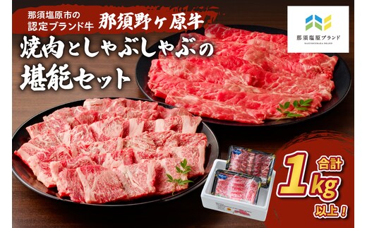 那須野ヶ原牛 焼肉としゃぶしゃぶで堪能セット ns004-003