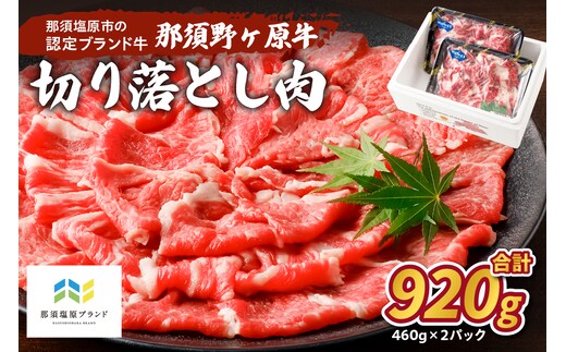 那須野ヶ原牛 切り落とし 460g×2パック ns004-020