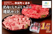 那須野ヶ原牛　焼肉としゃぶしゃぶで堪能セット ns004-003