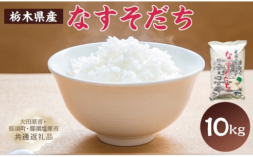 【大田原市・那須塩原市・那須町共通返礼品】＜米＞令和7年産 栃木県産 コシヒカリ なすそだち 10ｋｇ ＪＡなすの産地直送 ns005-002-10