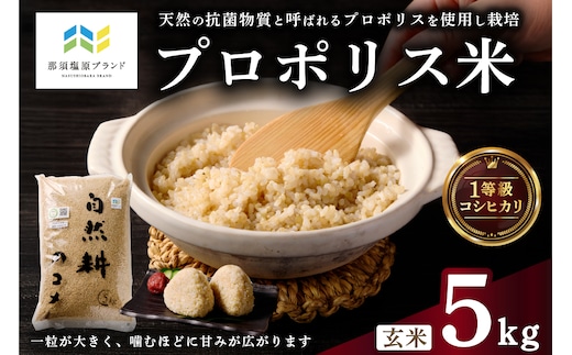 【那須塩原ブランド認定品】プロポリス米(1等級コシヒカリ 玄米5kg) 【令和7年度産米】 ns063-001