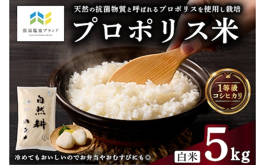 【那須塩原ブランド認定品】プロポリス米（1等級コシヒカリ 白米5kg)【令和7年度産米】 ns063-002