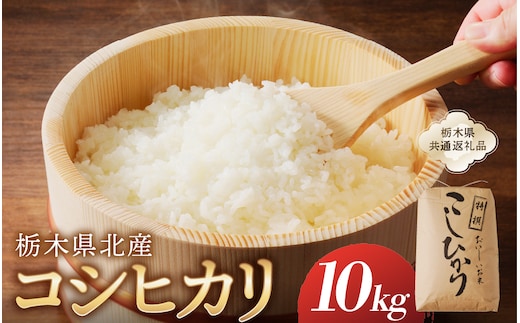 【令和7年度産】栃木県北産コシヒカリ 10kg入【栃木県共通返礼品】 ns091-001