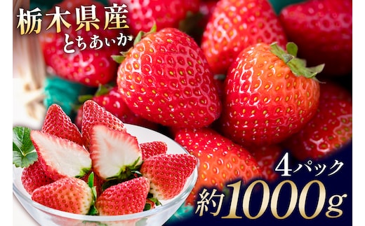 栃木県産 とちあいか4パック ns110-001-4