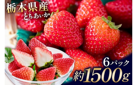 栃木県産 とちあいか6パック ns110-001-6