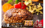 ソースのいらない那須の後藤牛熟成生ハンバーグ150g×4枚 ns044-004