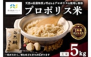 【那須塩原ブランド認定品】プロポリス米(1等級コシヒカリ 玄米5kg)  【令和7年度産米】 ns063-001