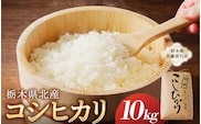 【令和7年度産】栃木県北産コシヒカリ 10kg入【栃木県共通返礼品】 ns091-001