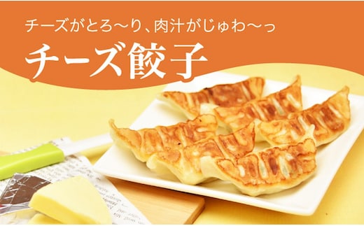 「宇都宮餃子館」チーズ餃子 960ｇ（４８個）≪ギョーザ 冷凍餃子 冷凍食品 グルメ 食品 惣菜 中華惣菜 点心 中華≫