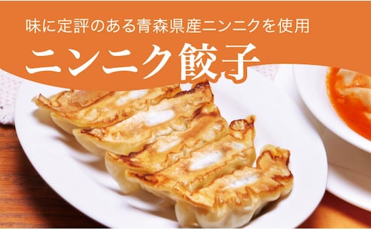 「宇都宮餃子館」ニンニク餃子 960ｇ（４８個）≪ギョーザ 冷凍餃子 冷凍食品 グルメ 食品 惣菜 中華惣菜 点心 中華≫