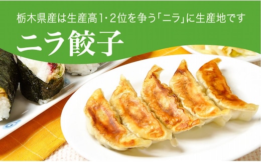 「宇都宮餃子館」ニラ餃子 960ｇ（４８個）≪ギョーザ 冷凍餃子 冷凍食品 グルメ 食品 惣菜 中華惣菜 点心 中華≫