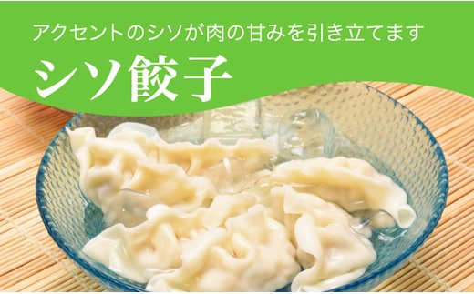 「宇都宮餃子館」シソ餃子 960ｇ（４８個）≪ギョーザ 冷凍餃子 冷凍食品 グルメ 食品 惣菜 中華惣菜 点心 中華≫