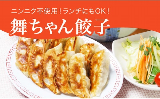 「宇都宮餃子館」舞ちゃん餃子 960ｇ（４８個）≪ギョーザ 冷凍餃子 冷凍食品 グルメ 食品 惣菜 中華惣菜 点心 中華≫
