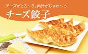 「宇都宮餃子館」チーズ餃子 960ｇ（４８個）≪ギョーザ 冷凍餃子 冷凍食品 グルメ 食品 惣菜 中華惣菜 点心 中華≫