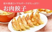 「宇都宮餃子館」お肉餃子 960ｇ（４８個）≪ギョーザ 冷凍餃子 冷凍食品 グルメ 食品 惣菜 中華惣菜 点心 中華≫