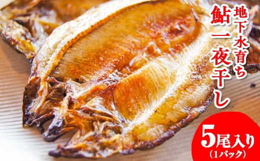 地下水育ち 鮎一夜干し 5尾入り