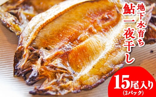 地下水育ち 鮎一夜干し 5尾入り3パック