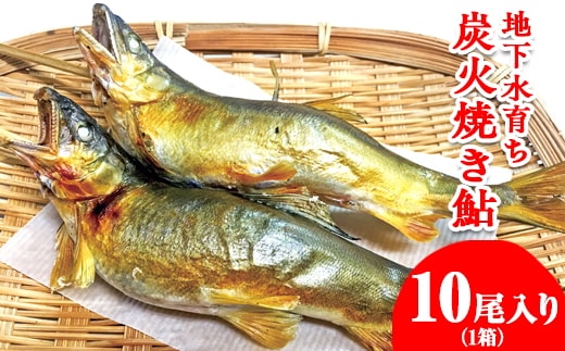 地下水育ち 炭火焼き鮎10尾入り