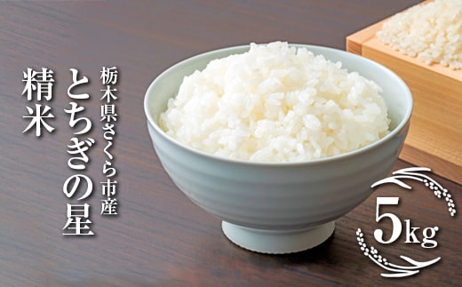 令和7年度 栃木県さくら市産とちぎの星 精米5kg｜米 白米 コメ こめ 菜っ葉館※2025年11月上旬頃から順次発送予定