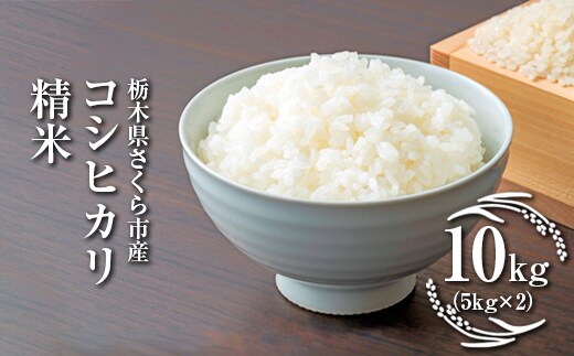 令和7年度 栃木県さくら市産コシヒカリ 精米10kg（5kg×2）｜米 白米 コメ こめ こしひかり 菜っ葉館※2025年10月中旬頃から順次発送予定
