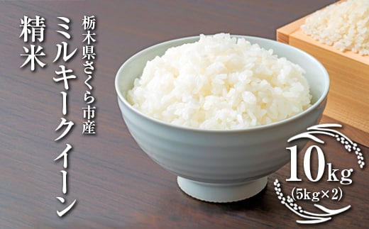 令和7年度 栃木県さくら市産ミルキークイーン 精米10kg（5kg×2）｜米 白米 コメ こめ 菜っ葉館※2025年11月上旬頃から順次発送予定