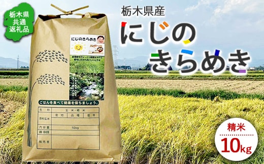 令和7年度産 栃木県産にじのきらめき 精米10kg 栃木県共通返礼品｜米 コメ 地域おこし協力隊