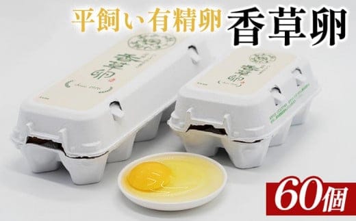 平飼い有精卵 香草卵60個入り（54個+破卵補償6個）｜安心安全 こだわり たまご 生卵 鶏卵 国産 タマゴ