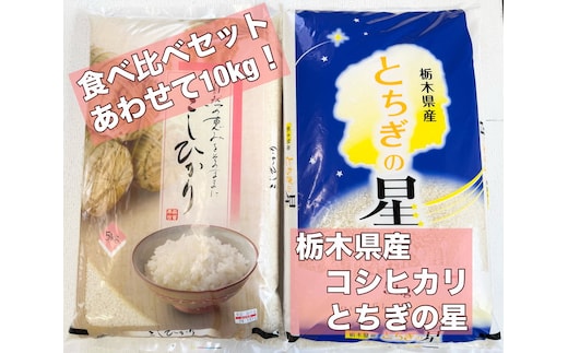 令和7年栃木県産 コシヒカリ5kg・とちぎの星5kg【白米食べ比べセット】 ※離島への配送不可