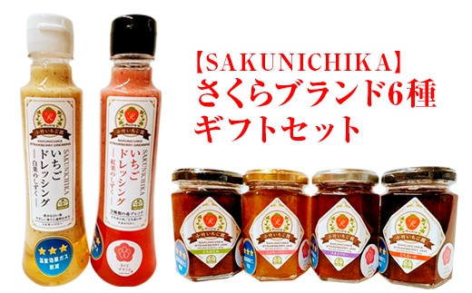 【SAKUNICHIKA】さくらブランド6種ギフトセット｜とちあいか とちおとめ スカイベリー ミルキーベリー 栃木県 さくら市 イチゴ 苺