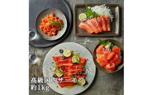【【国産】高級サーモン】【皮なしフィレ 約1kg】産地直送 おつまみ 高級 ※沖縄・離島への配送不可