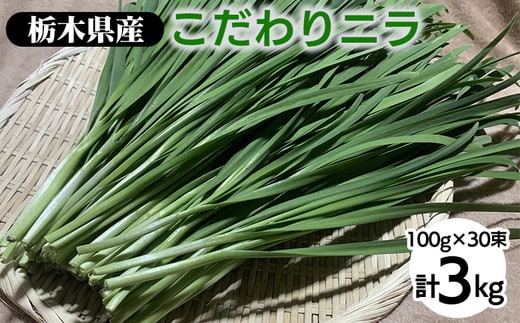 栃木県産こだわりニラ100g×30束 ｜ さくら市 にら 韮 野菜 国産