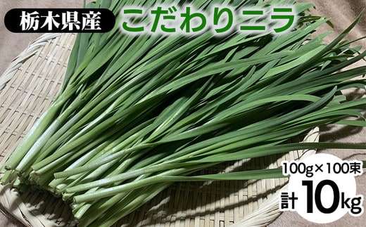 栃木県産こだわりニラ100g×100束 ｜ さくら市 にら 韮 野菜 国産