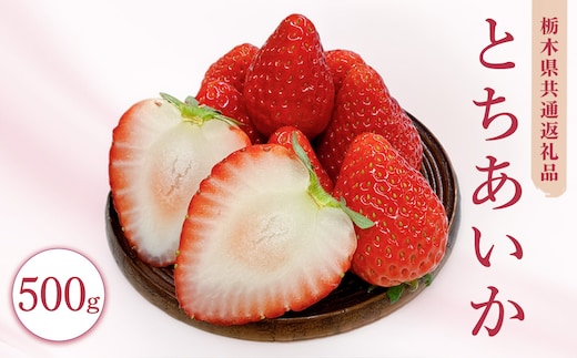 栃木県産とちあいか 500g イチゴ 苺 栃木県 果物 くだもの フルーツ スイーツ ギフト｜栃木県共通返礼品 栃木県産 ※2027年1月～発送