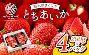 〈数量限定〉【先行予約】さくら市産イチゴ（とちあいか）290g×4パック｜いちご イチゴ 苺 先行予約 栃木県 果物 くだもの フルーツ とちあいか 新鮮 贈答 ギフト ※2025年12月下旬～2026年3月下旬頃に順次発送予定