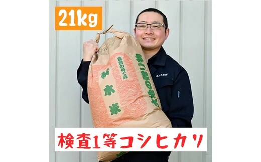 令和7年栃木県産 コシヒカリ 白米21kg【検査1等米】 ※離島への配送不可