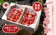 いちご 甘さ際立つ新品種 『とちあいか』 大粒 8～12粒×2パック 先行予約 58ロハスファーム【58ロハスクラブ】 ※2026年1月中旬～5月中旬頃に順次発送予定