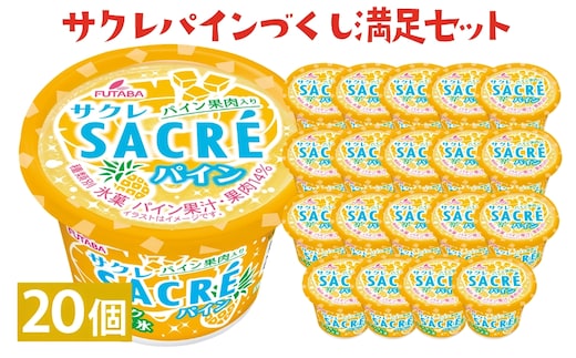 サクレパインづくし満足セット 20個｜アイス かき氷 シャーベット デザート※着日指定不可※離島への配送不可