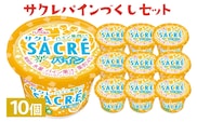 サクレパインづくしセット　10個｜アイス かき氷 シャーベット デザート※着日指定不可※離島への配送不可