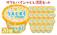 サクレパインづくし満足セット　20個｜アイス かき氷 シャーベット デザート※着日指定不可※離島への配送不可