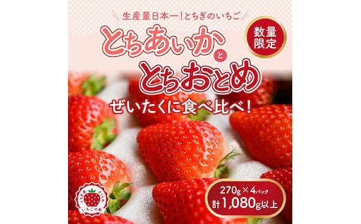 新旧2種食べ比べセット（とちおとめ、とちあいか）270g×4パック 1.08kg以上｜先行予約 数量限定 栃木県 果物 くだもの フルーツ 苺 イチゴ ※2026年1月上旬～4月中旬頃に順次発送予定