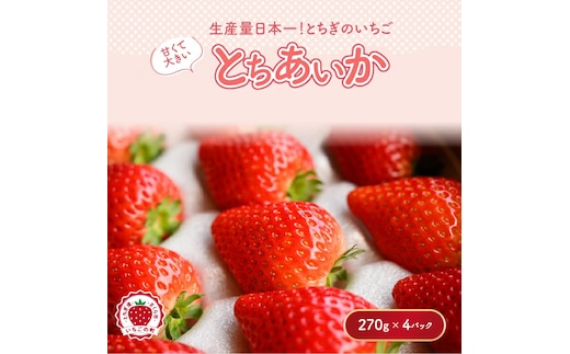 【先行予約】いちご とちあいかセット 270g×4パック（1.08kg以上）｜いちご イチゴ 苺 先行予約 栃木県 果物 くだもの フルーツ とちあいか 新鮮 贈答 ギフト ※2026年1月上旬～4月中旬頃に順次発送予定