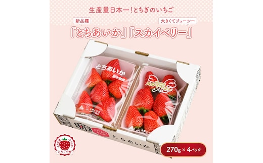 【先行予約】いちご とちあいか・スカイベリーセット 270g×4パック（1.08kg以上）｜いちご イチゴ 苺 先行予約 栃木県 果物 くだもの フルーツ とちあいか スカイベリー 新鮮 贈答 ギフト 高級 食べ比べ ※2026年1月上旬～4月中旬頃に順次発送予定