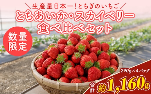 《数量限定》いちご厳選！さくら市産 とちあいか・スカイベリー食べ比べセット（290g×4パック） ｜ 先行予約 栃木県 果物 くだもの フルーツ 苺 イチゴ ※2027年1月～発送