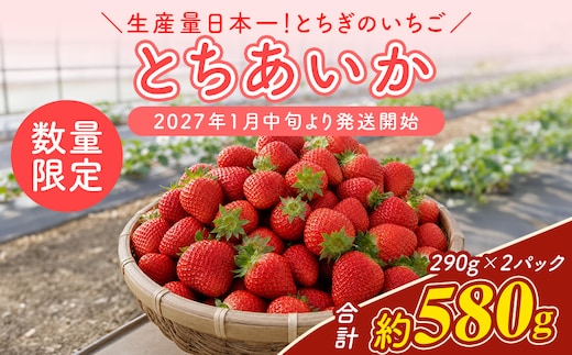【先行予約】いちご 厳選！さくら市産 とちあいか（290g×2パック） ※2027年1月～発送