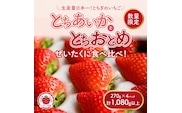 新旧2種食べ比べセット（とちおとめ、とちあいか）270g×4パック 1.08kg以上｜先行予約 数量限定 栃木県 果物 くだもの フルーツ 苺 イチゴ ※2026年1月上旬～4月中旬頃に順次発送予定