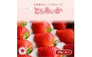 【先行予約】いちご とちあいかセット 270g×4パック（1.08kg以上）｜いちご イチゴ 苺 先行予約 栃木県 果物 くだもの フルーツ とちあいか 新鮮 贈答 ギフト ※2026年1月上旬～4月中旬頃に順次発送予定