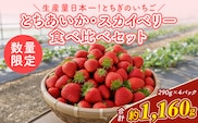《数量限定》いちご厳選！さくら市産 とちあいか・スカイベリー食べ比べセット（290g×4パック） ｜ 先行予約 栃木県 果物 くだもの フルーツ 苺 イチゴ ※2027年1月～発送